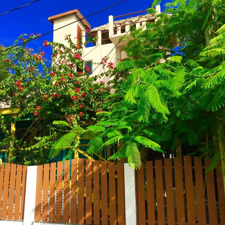 Yocamatsu Bed & Breakfast Caye Caulker Bagian luar foto